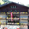 HOTEL UNTERWIRT Saalbach Austrija 1/2+0 1